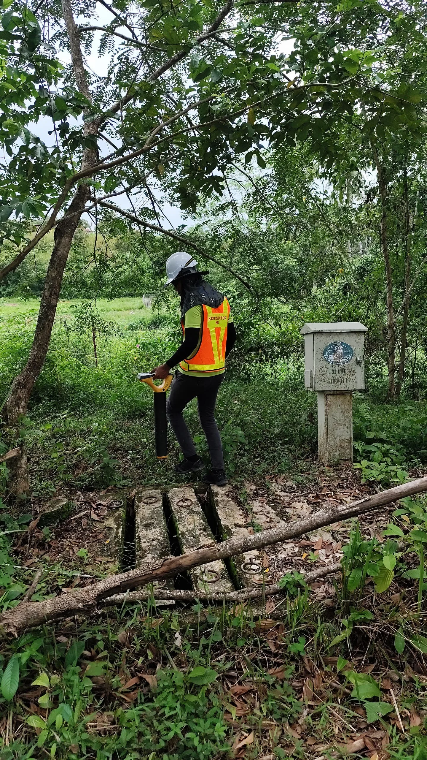 UMAP Activity - umap (54)